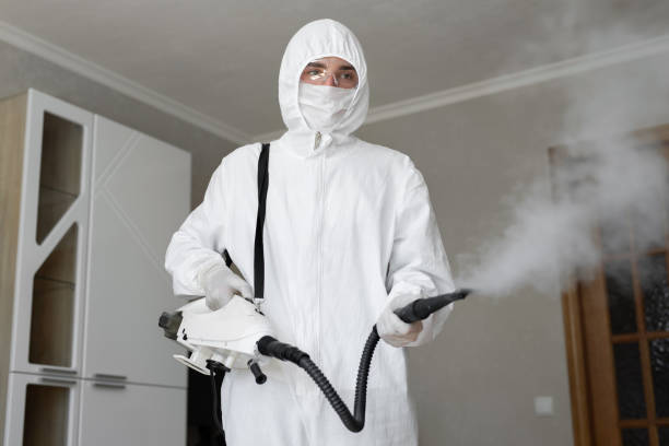 Why You Should Choose Our Mold Remediation Services in Bridgeport, WV